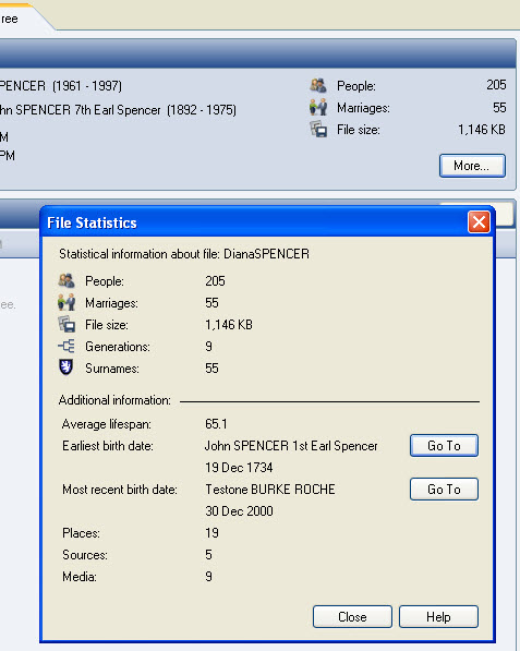 Image of Screen for the Enhanced File Statistics