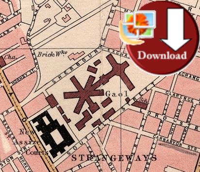 Map of Manchester 1900 (Digital Download)